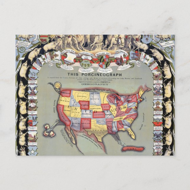 Postal ESTA PORCINEOGRAFÍA, c1876 (Anverso)