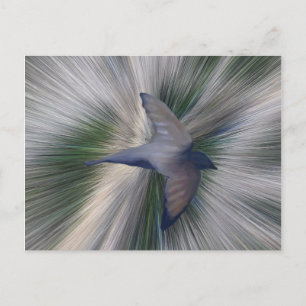 Postal Está Terminado