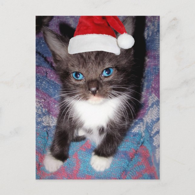 POSTAL ESTABA BIEN ESTE AÑO (Anverso)