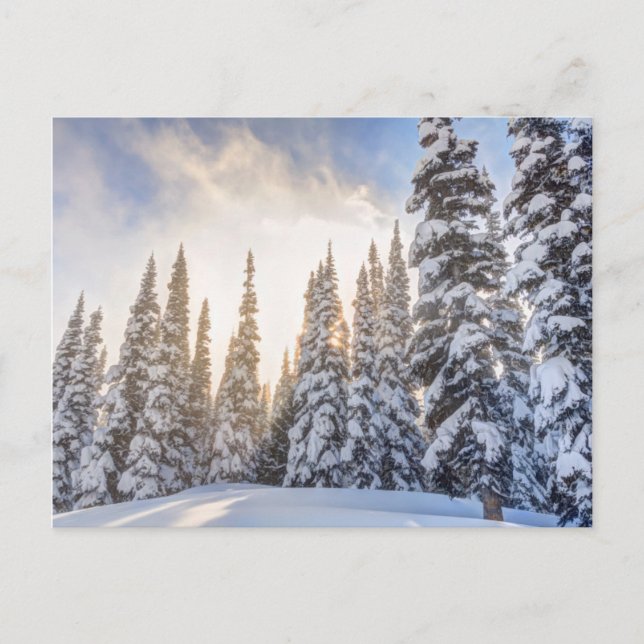 Postal Estación de esquí Crystal Mountain, cerca del mont (Anverso)