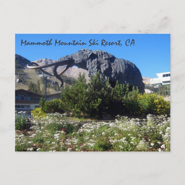 Postal Estación de esquí Mammoth Mountain (Anverso)