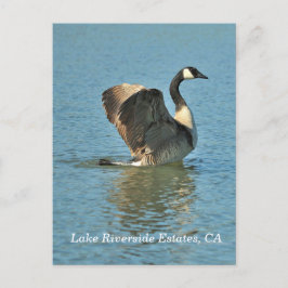 Postal Estaciones Lake Riverside, CA Postcard