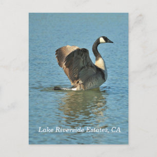 Postal Estaciones Lake Riverside, CA Postcard