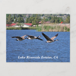 Postal Estaciones Lake Riverside, CA Postcard