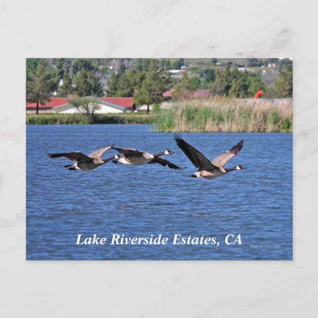 Postal Estaciones Lake Riverside, CA Postcard (Anverso)