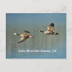 Postal Estaciones Lakw Riverside, CA Postcard
