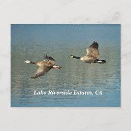 Postal Estaciones Lakw Riverside, CA Postcard