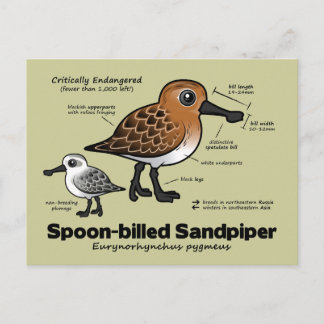 Postal Estadísticas de Sandpiper facturadas por parodia