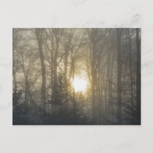 Postal Estado de ánimo matutino (Anverso)