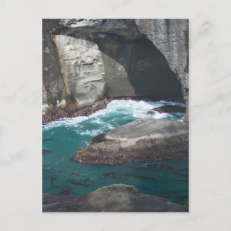 Postal Estado de Cape Flattery Washington