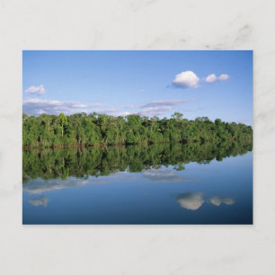 Postal Estado de Mato Grosso, Amazonia, Brasil. Boscoso