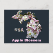 Estado de Michigan y flores de Apple