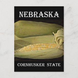 Postal Estado de Nebraska Cornhusker