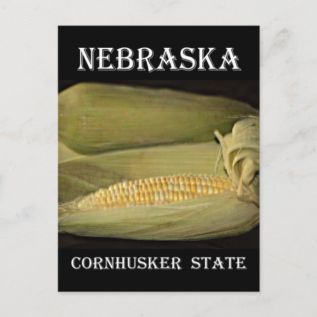 Postal Estado de Nebraska Cornhusker (Anverso)