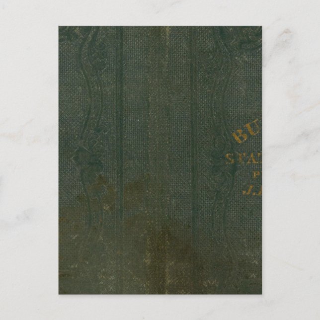 Postal Estado de Nueva York por DH Burr 2 (Anverso)