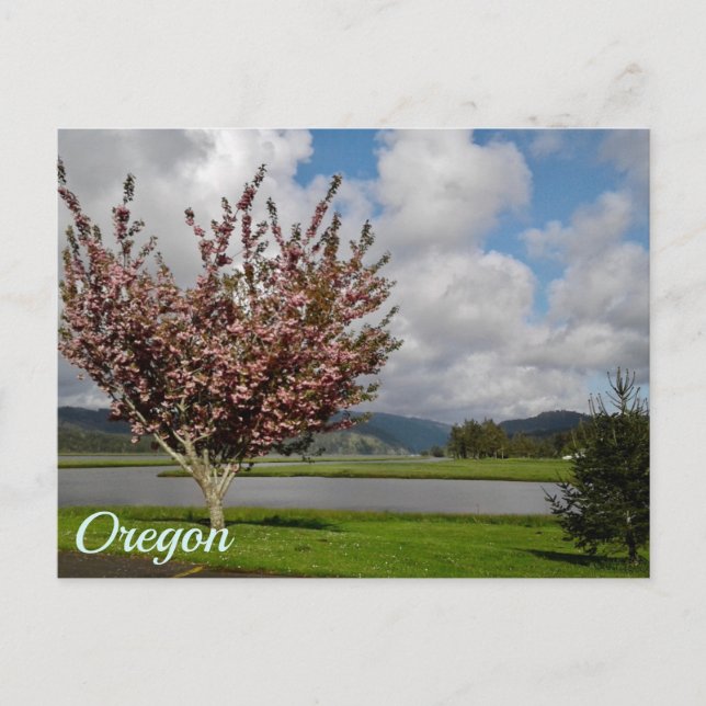 Postal Estado de Oregon (Anverso)