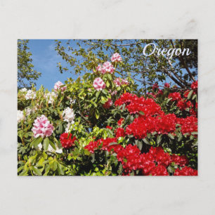 Postal Estado de Oregon