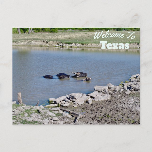 Postal Estado de Texas (Anverso)