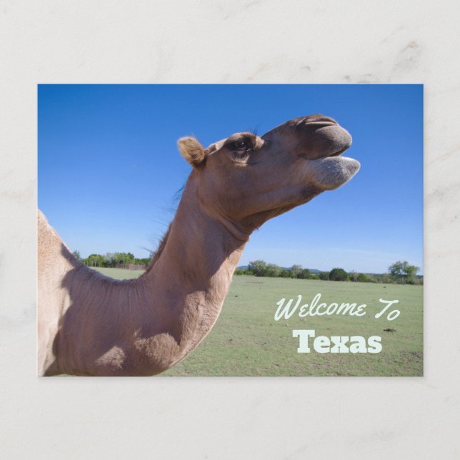 Postal Estado de Texas (Anverso)