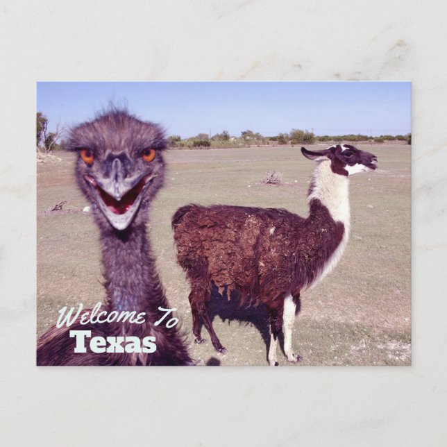 Postal Estado de Texas (Anverso)