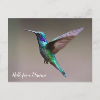 Postal Estado Personalizado de Hummingbird colorido