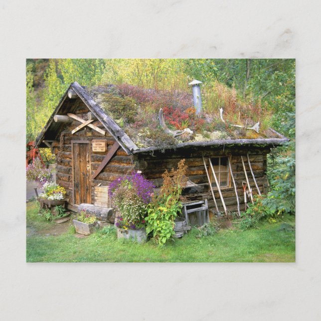 Postal Estados Unidos, Alaska, Parque Nacional Denali, Ka (Anverso)