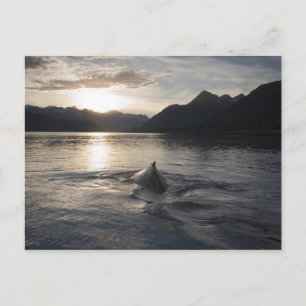 Postal Estados Unidos, Alaska, Parque Nacional Glacier Ba