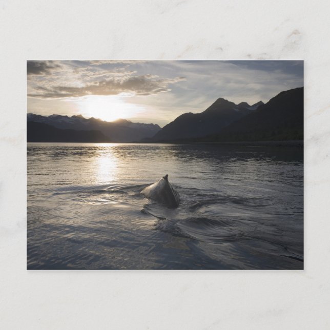 Postal Estados Unidos, Alaska, Parque Nacional Glacier Ba (Anverso)