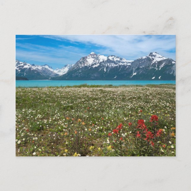 Postal Estados Unidos, Alaska, Parque Nacional Glacier Ba (Anverso)