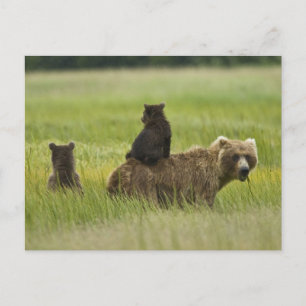 Postal Estados Unidos, Alaska, Parque Nacional Lake Clark