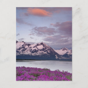 Postal Estados Unidos, Alaska, Valle del Río Alsek. Vista