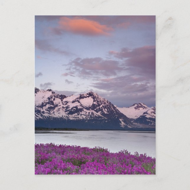Postal Estados Unidos, Alaska, Valle del Río Alsek. Vista (Anverso)