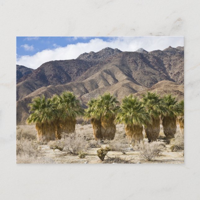 Postal Estados Unidos, California, Parque Estatal del Des (Anverso)