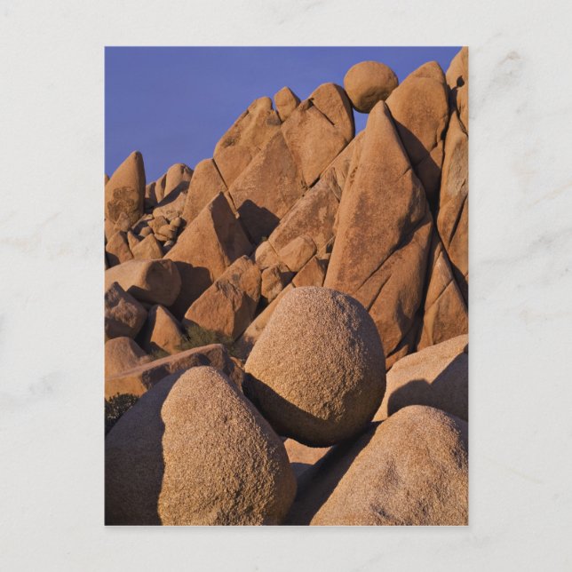 Postal Estados Unidos, California, Parque Nacional Joshua (Anverso)