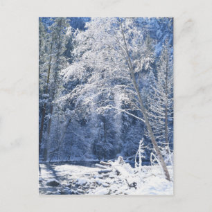 Postal Estados Unidos, California, Parque Nacional Yosemi