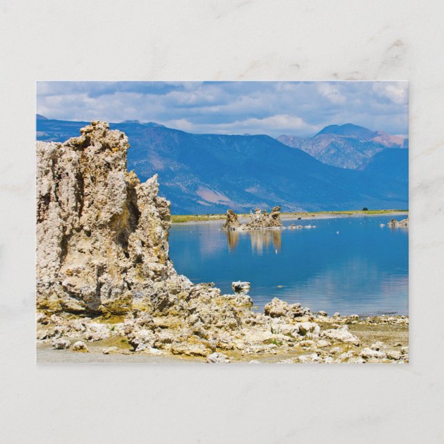 Postal Estados Unidos, California, Reserva de Mono Lake S (Anverso)