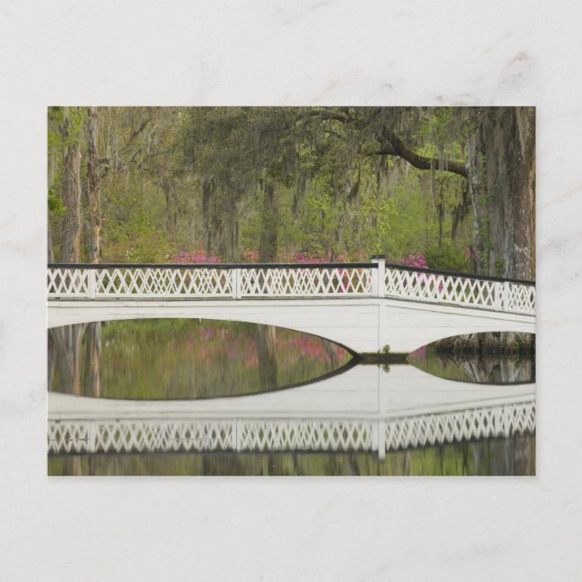 Postal Estados Unidos; Carolina del Sur; Charleston; 3 (Anverso)