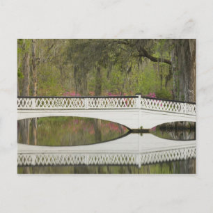 Postal Estados Unidos; Carolina del Sur; Charleston; 3