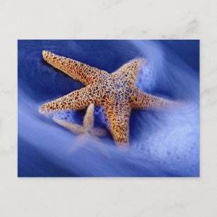 Postal Estados Unidos, Carolina del Sur, isla Hilton Head