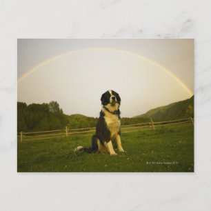 Postal Estados Unidos, Colorado, Nuevo Castillo