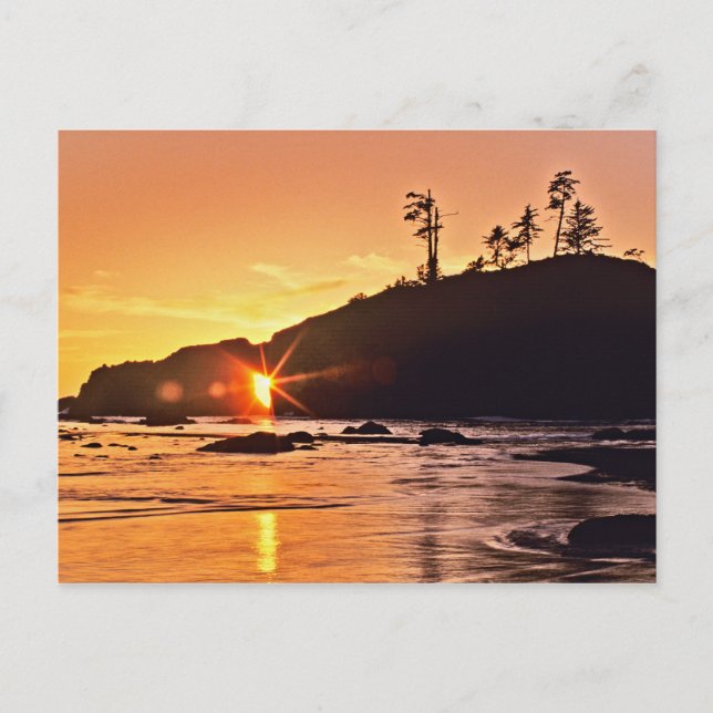 Postal Estados Unidos, Estado de Washington, Parque Nacio (Anverso)