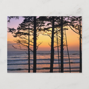 Postal Estados Unidos, Estado de Washington, policía olím