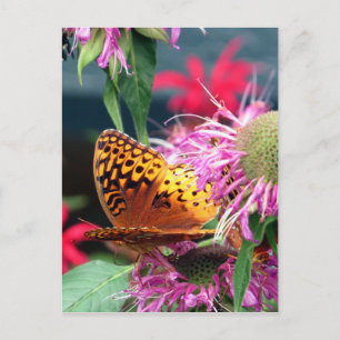 Postal Estados Unidos - Indiana - Parque Estatal del Cond