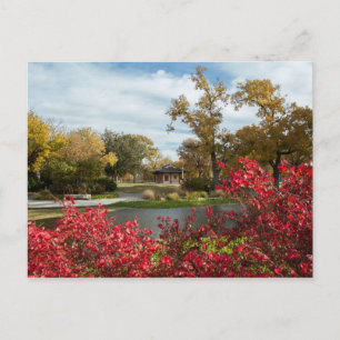 Postal Estados Unidos - Kansas - Centro de Wichita