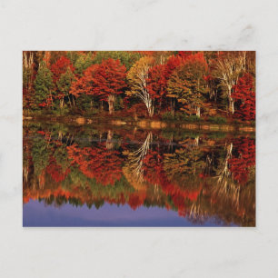 Postal Estados Unidos, Michigan, Península Superior. Otoñ