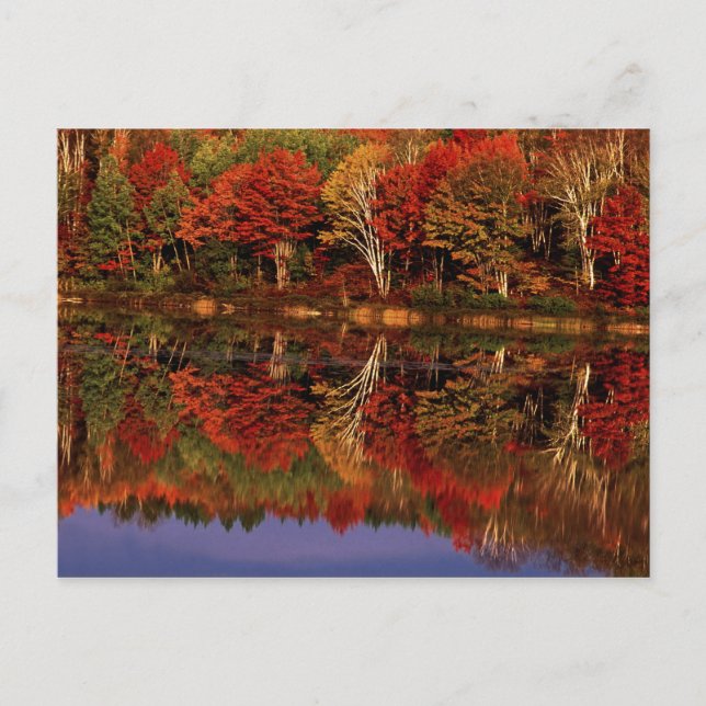 Postal Estados Unidos, Michigan, Península Superior. Otoñ (Anverso)