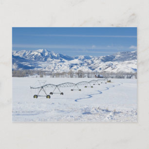 Postal Estados Unidos, MT, Granja cerca de Livingston