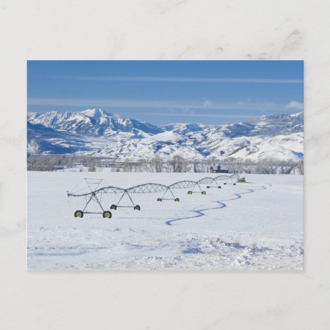 Postal Estados Unidos, MT, Granja cerca de Livingston (Anverso)