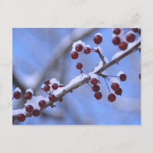 Postal Estados Unidos, Nueva Inglaterra, Massachusetts, R