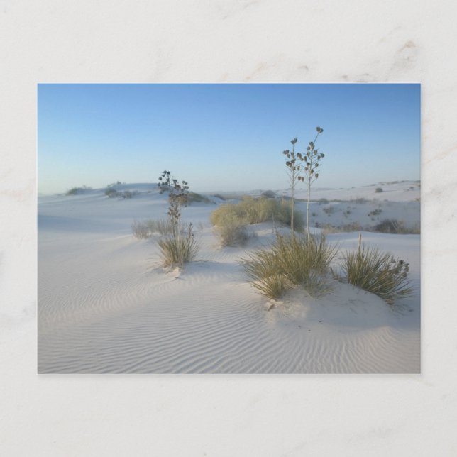 Postal Estados Unidos, Nuevo México, White Sands National (Anverso)
